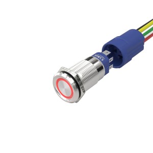 China manufacturers illuminated pushbutton switch 19mm ss red led 220v mating connector  10a