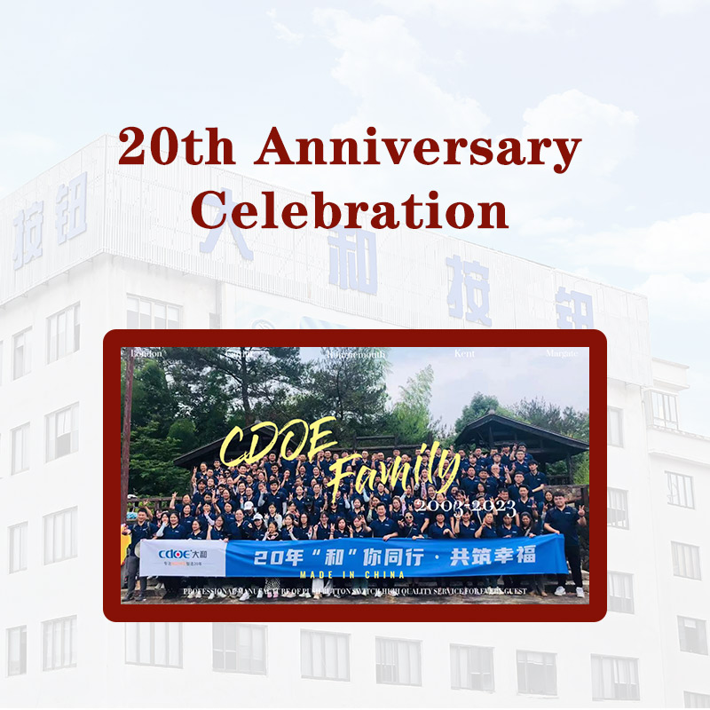 To celebrate the 20th anniversary of Yueqing Dahe Electric Co.,ltd