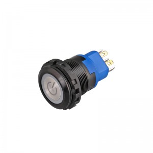 22mm Momentary Push Button Switch Waterproof Illuminated 1NO1NC 10A Customized by Leading Chinese Manufacturer